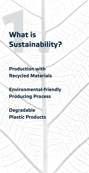 ¿Qué es la sostenibilidad?